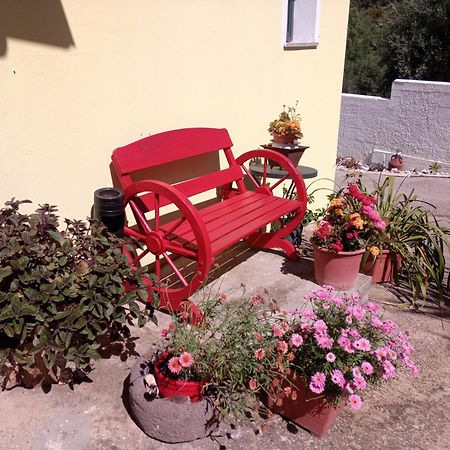 Locanda D'Ogliastra, Triei Exterior photo